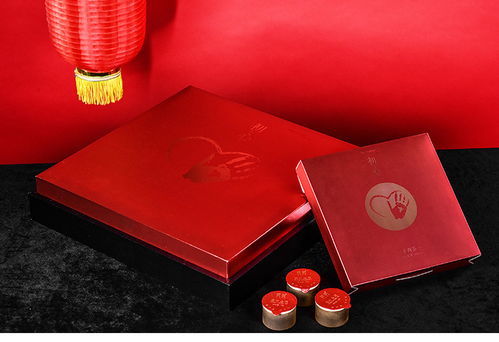 國(guó)殷 禮盒 禮品定制 手禮 安化黑茶 紅茶 正山小種 手筑茯磚 商政禮品