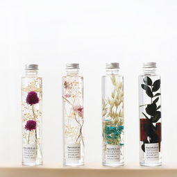 炭草花秘密小雛菊 永生花北歐工藝品擺件 情人節禮物,炭草花秘密小雛菊 永生花北歐工藝品擺件 情人節禮物生產廠家,炭草花秘密小雛菊 永生花北歐工藝品擺件 情人節禮物價格